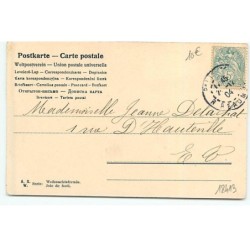 n°18413 - W. Braun - Jeunes femmes apportant un sapin