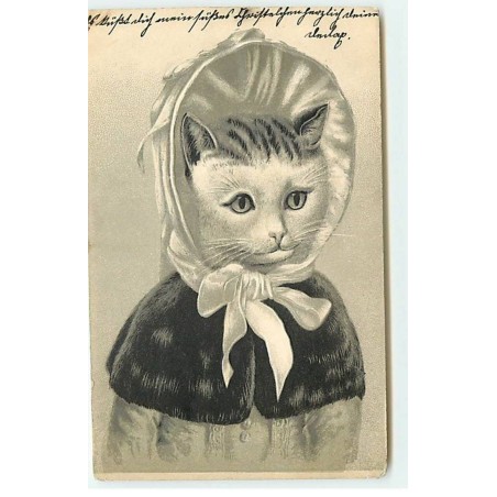 n°18598 - Carte Gaufrée - Chatte portant un chapeau - chat