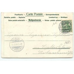 n°18675 - Fröhliche Pfingsten - Chiens et chat courant après des Hannetons