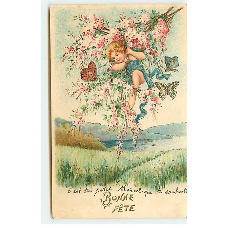 n°18742 - Carte Gaufrée - Bonne Fête - Enfant dans des branches fleuries entouré de papillons