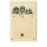 n°10829 - Carte Fantaisie Gaufrée - Chiens regardant un trèfle à 4 feuilles