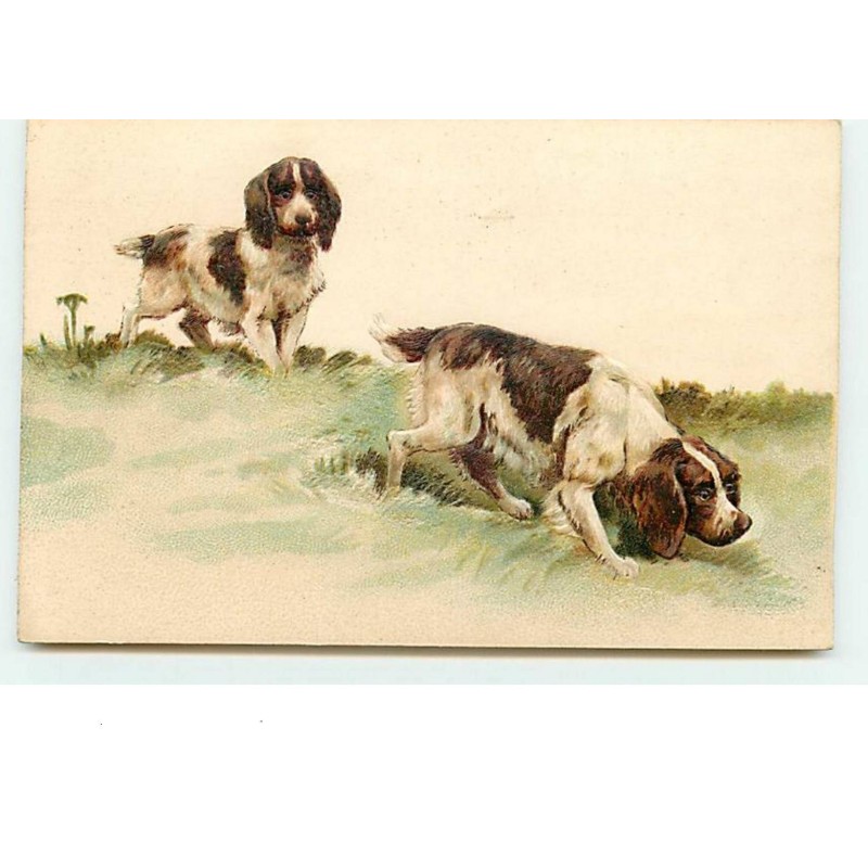n°10833 - Carte Fantaisie Gaufrée - Chiens de chasse