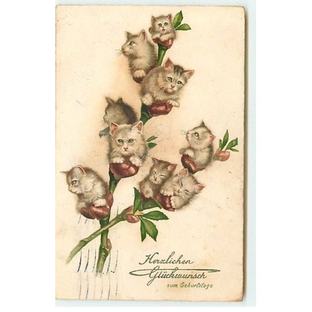 n°18846 - Herzlichen Glückwxunsch zum Geburtstage - Chatons dans des fleurs - chat