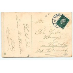 n°18846 - Herzlichen Glückwxunsch zum Geburtstage - Chatons dans des fleurs - chat