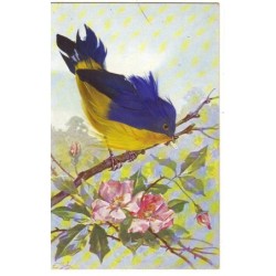 n°18955 - Carte à plume -...