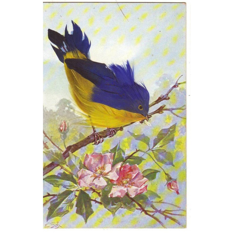 n°18955 - Carte à plume - Oiseau sur une branche