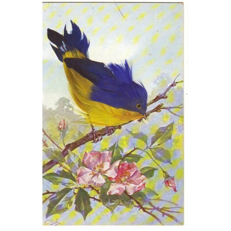 n°18955 - Carte à plume - Oiseau sur une branche