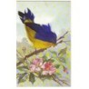 n°18955 - Carte à plume - Oiseau sur une branche