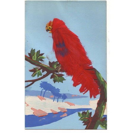 n°18958 - Carte à plume - Perroquet sur une branche
