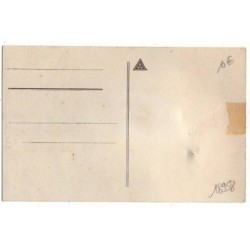 n°18958 - Carte à plume - Perroquet sur une branche
