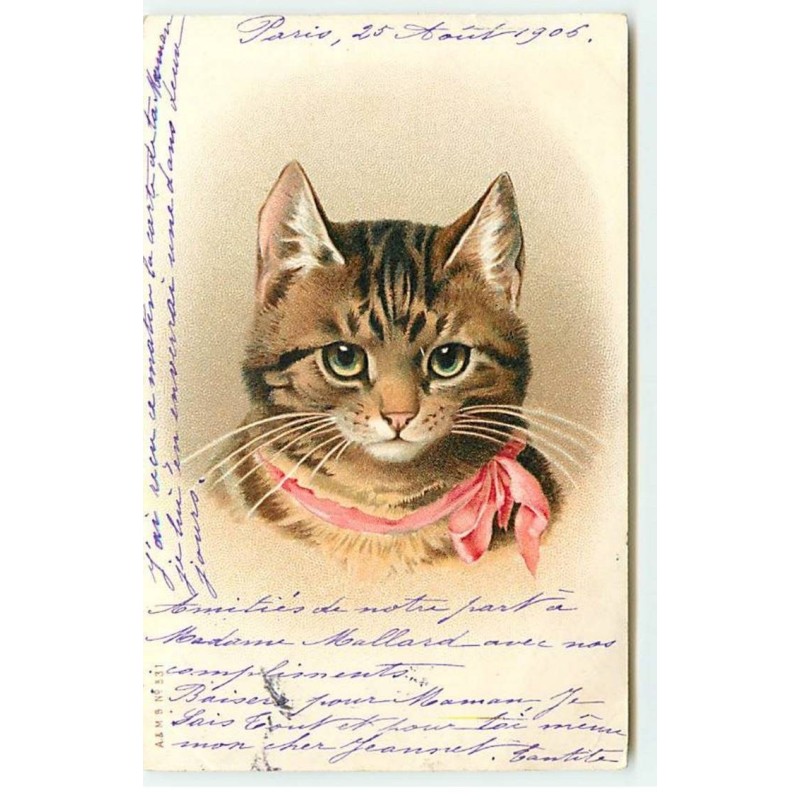 n°18992 - A & MB n°531 - Portrait de Chat avec un ruban rose
