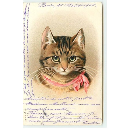 n°18992 - A & MB n°531 - Portrait de Chat avec un ruban rose