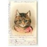 n°18992 - A & MB n°531 - Portrait de Chat avec un ruban rose