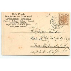 n°19066 - Carte Gaufrée - Fröhliche Pfingsten - Bébé sur le dos d'un hanneton