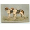n°10840 - Carte Fantaisie Gaufrée - Chiens de chasse