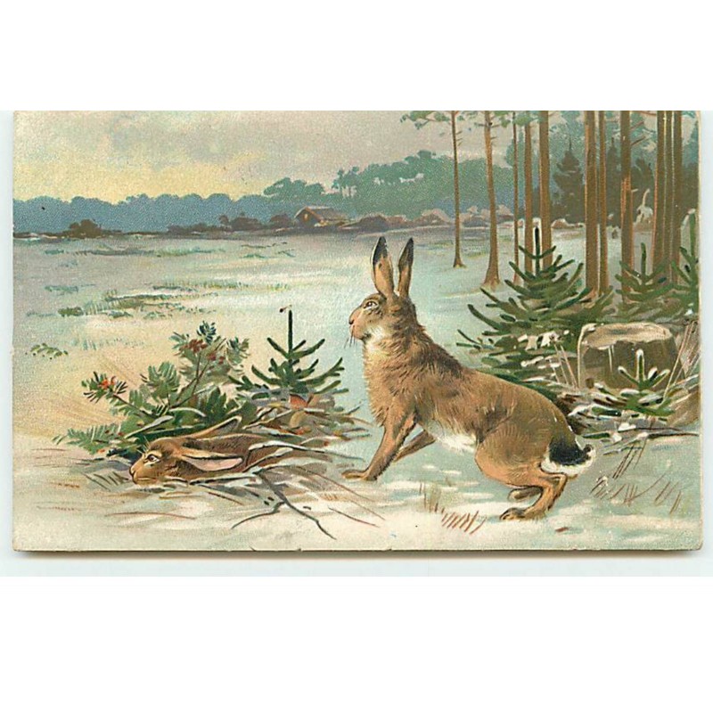 n°19146 - Carte Gaufrée - Lièvres, l'un se cachant