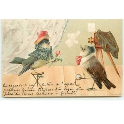 n°19149 - Oiseaux habillés...