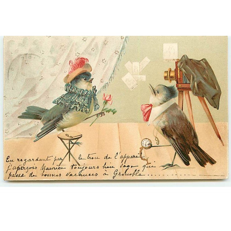 n°19149 - Oiseaux habillés l'un prenant l'autre en photo