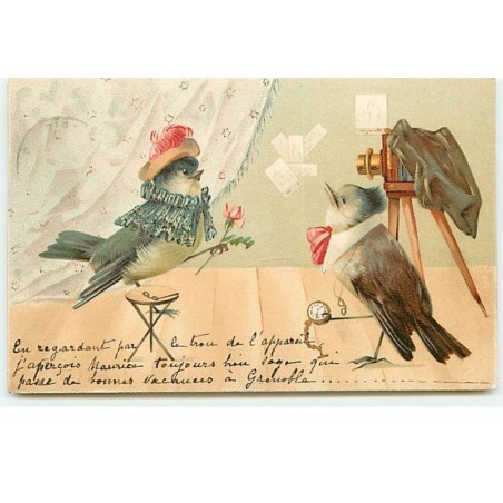 n°19149 - Oiseaux habillés l'un prenant l'autre en photo