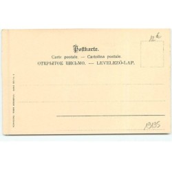 n°19195 - Portrait d'une jeune femme dans un médaillon, au-dessus de canards