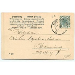 n°19225 - Prosit Neujahr - Ange avec des portes bonheur levant une flûte de champagne