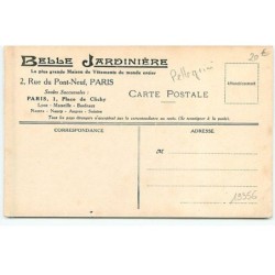 n°19356 - Pellegrini - Ski-Jöring - Belle Jardinière