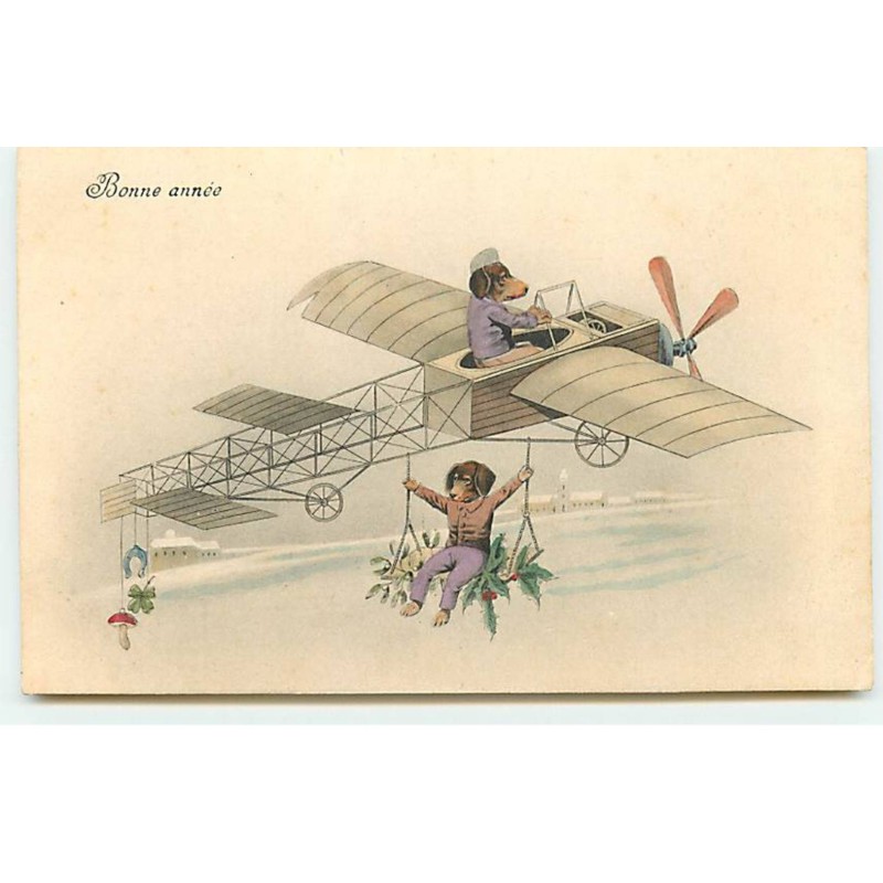 n°19371 - Bonne Année - Teckels dans un avion - Teckel