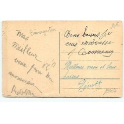 n°19417 - F. Baumgarten - Chat assis à côté d'un enfant assis dans l'herbe, portant un bouquet  de tulipes