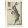 n°19418 - Maurice Boulanger - La Pose du Lapin
