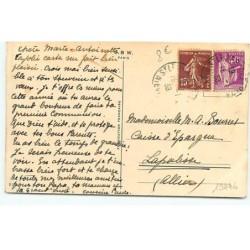 n°19446 - Heureuse Année - Chat offrant des fleurs à une chatte allitée