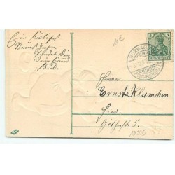 n°19535 - Carte Gaufrée - Prosit Neujahr ! - Femme tombée par terre voulant attraper un cochon