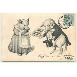 n°19543 - Cochon en costume...
