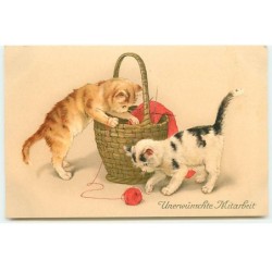 n°19550 - Chat -...