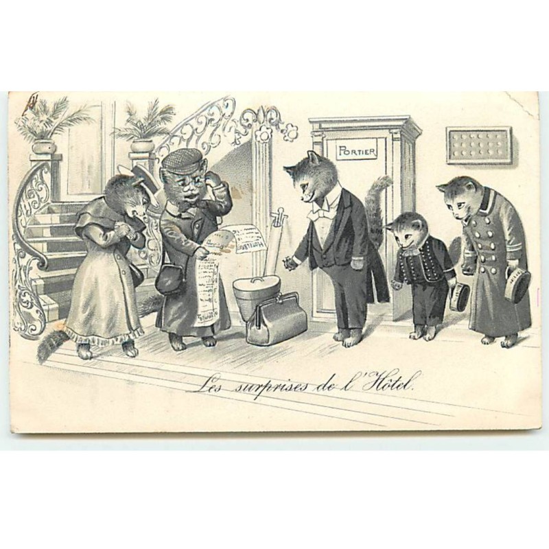n°19584 - DR - Les surprises de l'Hôtel - chat
