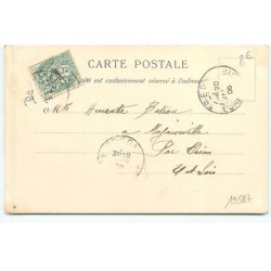 n°19587 - DR - En Suisse, ascension des Alpes - chat