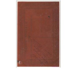n°10954 - Carte Fantaisie en Celluloïd - Chromo Angelot collé