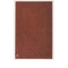 n°10954 - Carte Fantaisie en Celluloïd - Chromo Angelot collé