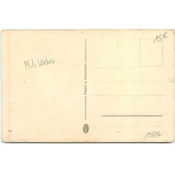 n°19616 - Mili Weber - Bébé levant les bras, assis au milieu de fleurs
