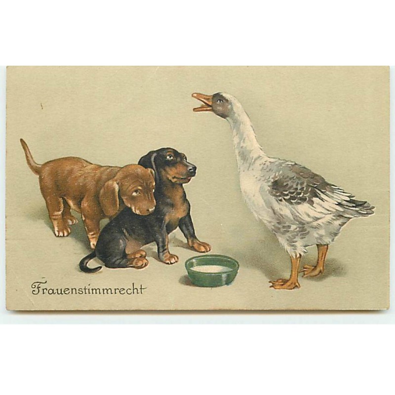 n°19636 - Frauenstimmrecht - Oie devant deux teckels - dackel