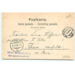 n°19642 - Petit cuistot assis sur le dos d'une oie
