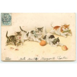n°19688 - Chats jouant avec...