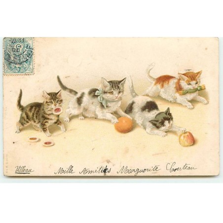 n°19688 - Chats jouant avec des fruits