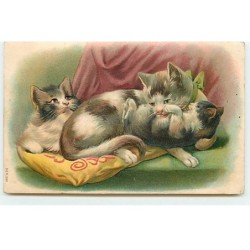 n°19690 - Carte Gaufrée -...