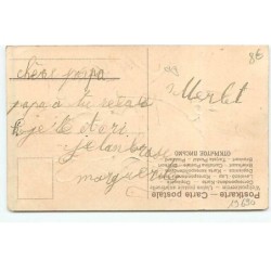 n°19690 - Carte Gaufrée - Chat au moment de la toilette