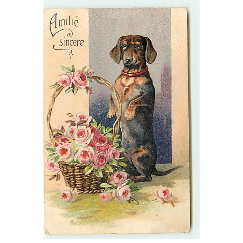 n°19696 - Carte Gaufrée - Teckel faisant le beau près d'un panier rempli de roses