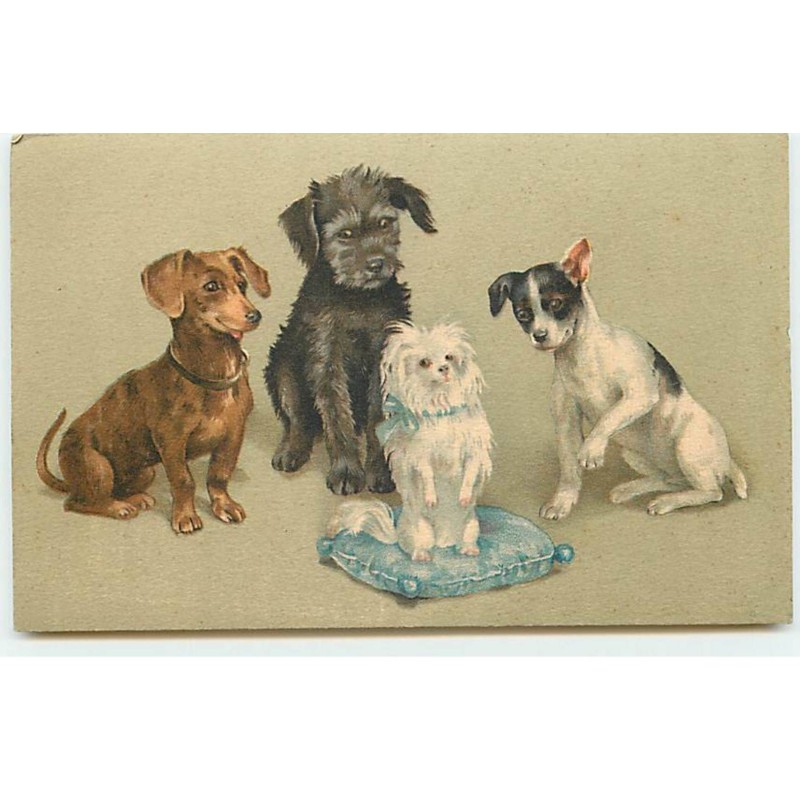 n°19697 - Chiens dont un teckel