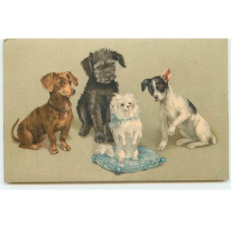 n°19697 - Chiens dont un teckel