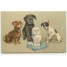 n°19697 - Chiens dont un teckel