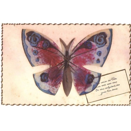n°19757 - Papillon en celluloïd