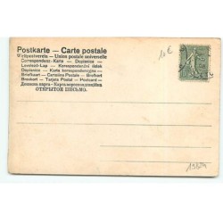n°19824 - Couple de cochons habillés dans une voiture